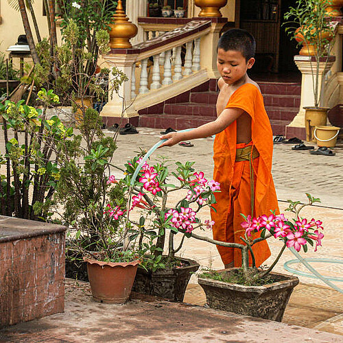 Buddhistischer Moench wässert Blumen in Thailand