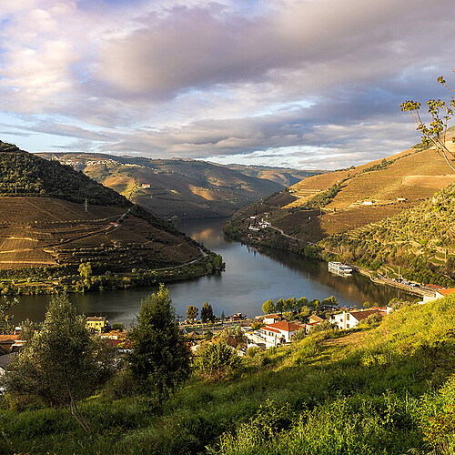 Dourotal Landschaft Sonnenuntergang Portugal