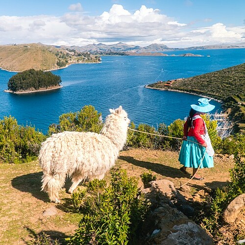 Alpaca und Frau vor dem Titicacasee