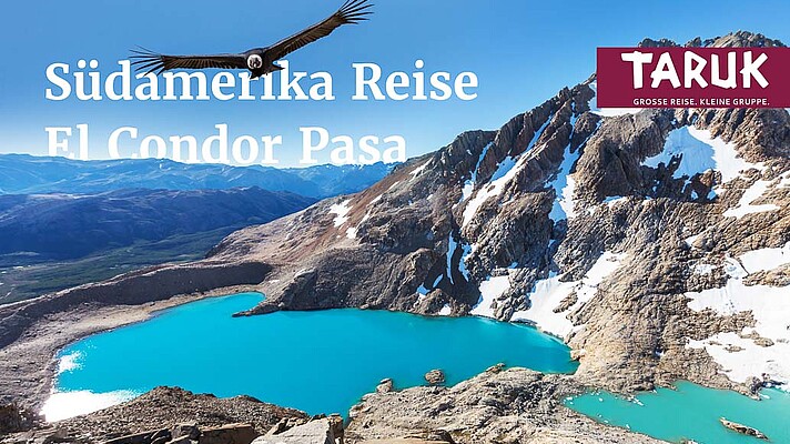 Adler vor Gletscher Torres del Paine auf der Rundreise El Condor Pasa