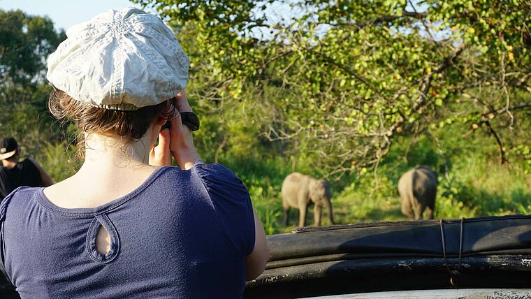 Sri Lanka Elefanten Safari