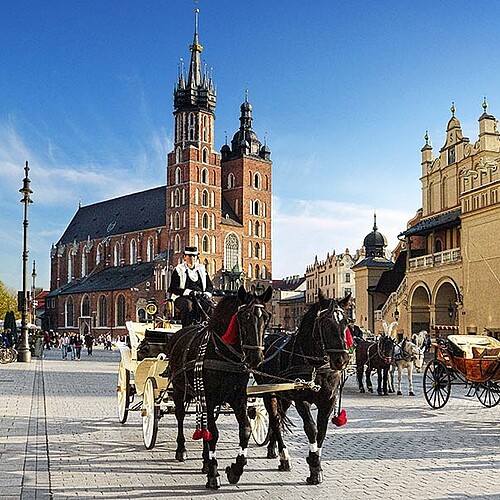 Kutsche vor einer Kirche in Krakau Polen