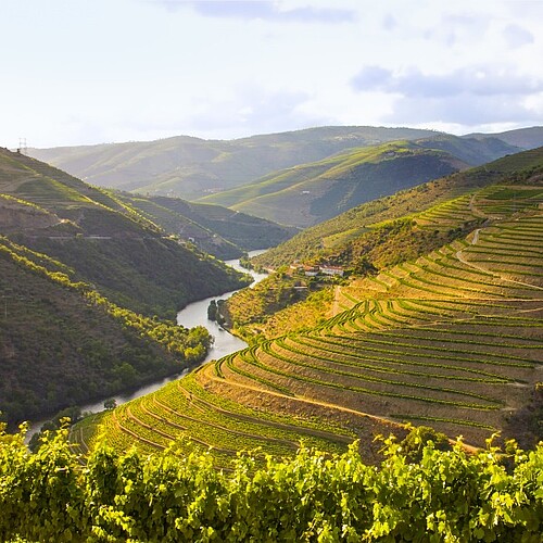 Douro Valley Tal mit Fluss und grünen Hügeln in Portugal.