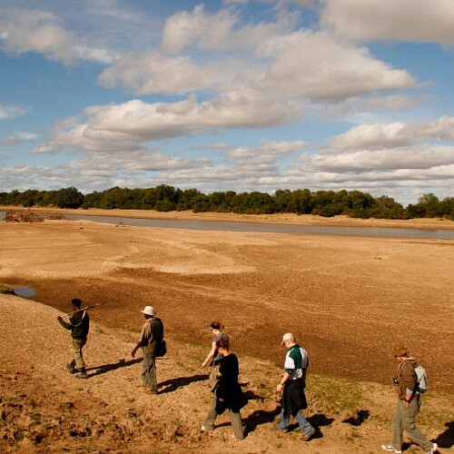 Buschwanderung im South Luangwa Nationalpark in Sambia