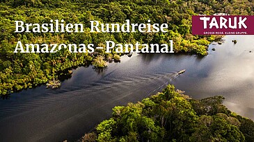 Bäume im Sumpfgebiet des Pantanals in Brasilien