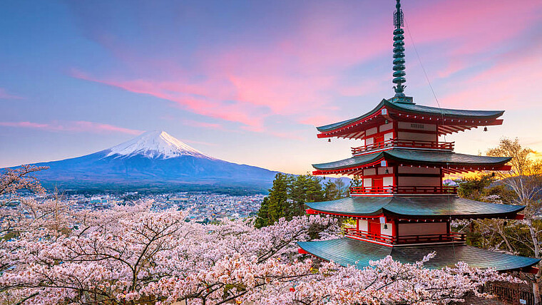 Blick auf den Fujiyama mit schneebedeckter Spitze im Hintergrund. Im Vordergrund blühen rosa Kirschblüten um eine traditionelle rote Pagode. Der Himmel ist blau-rosa gefärbt.