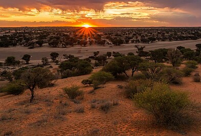 Panorama bei Sonnenuntergang im Kgalagadi Transfrontier Park im Südlichen Afrika