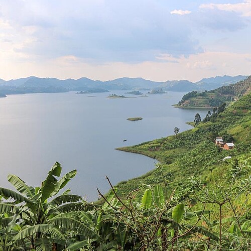 lake-mutanda-blick-auf-see-mit-palmen-uganda-reise