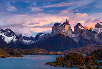 Glockenblume Torres del Paine Nationalpark.