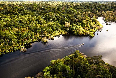Amazonas Pantanal Amazonas Fluss Boot.