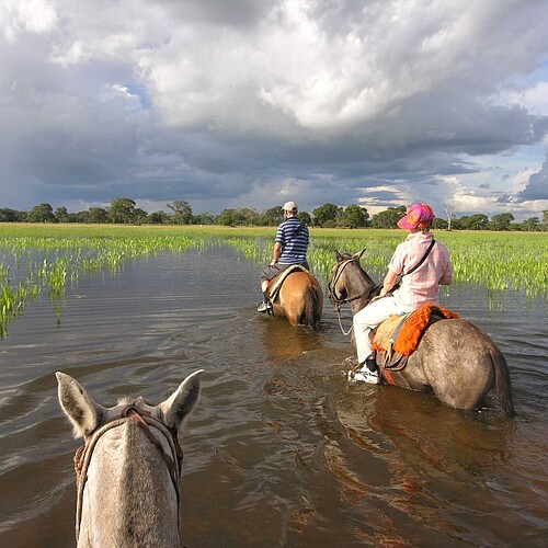 Pferde mit Reitern bei Tour durch Pantanal in Brasilien
