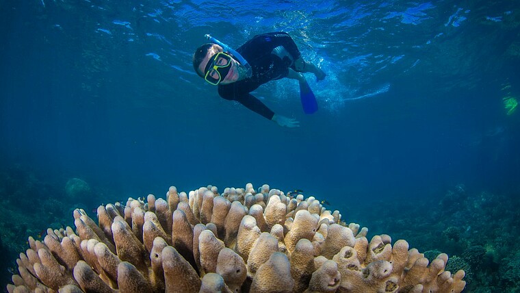 Junge beim Tauchen am Great Barrier Reaf in Australien