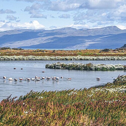 Laguna Nimez Argentinien Reise