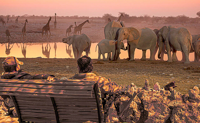 13 - Westlicher Etosha Nationalpark