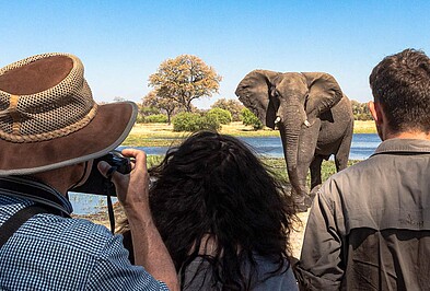 Reisegruppe beobachtet einen Elefanten in Botswana
