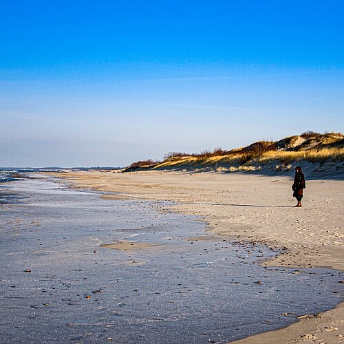 Strand an der kurischen Nehrung in Litauen im Baltikum.
