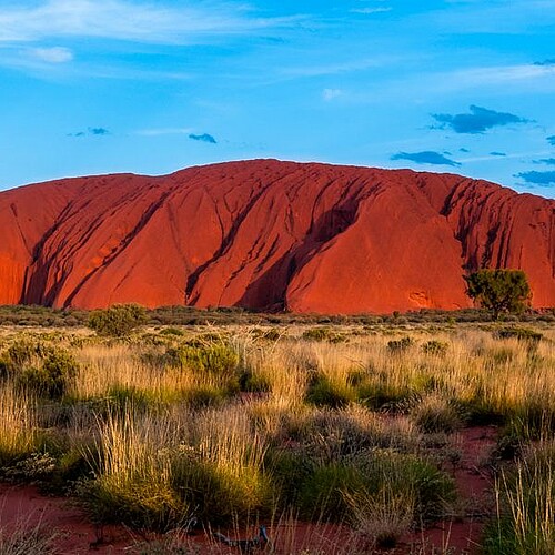 Uluru Ayers Rock beim Sonnenaufgang in Australien.