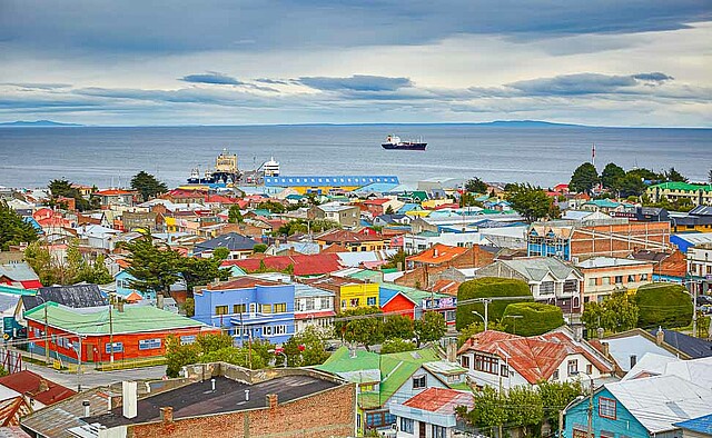 Calafate sour punta arenas