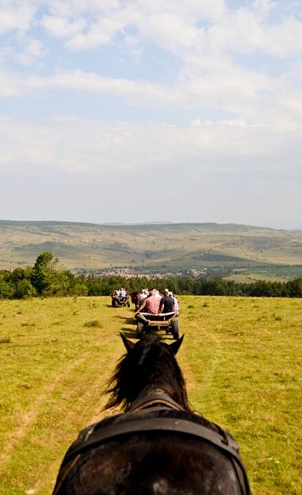 Pferdekutsche auf weitem Feld in Rumänien 