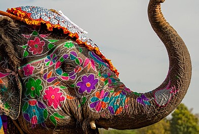 Bemalter Elefant in Indien auf der Reise Ganesha