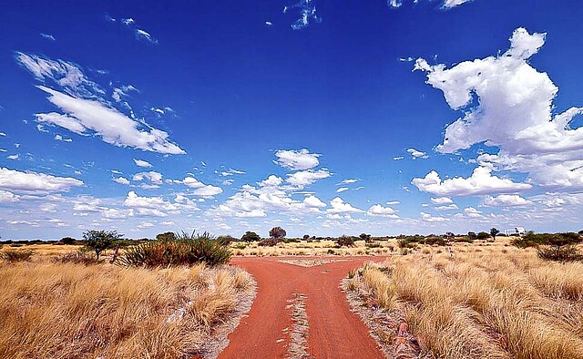 2 - In die Halbwüste Kalahari auf eine Farm