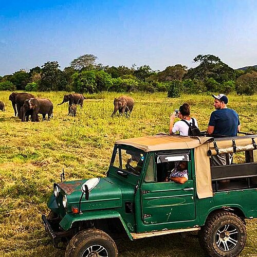 Wilpattu Nationalpark Safari Jeep Elefanten Sri Lanka.