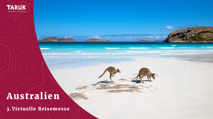 Australien virtuelle Reisemesse mit TARUK – Kängurus am Strand