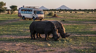 Okambara: Geländewagen & Nashörner