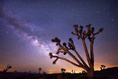 Milchstraße im Sternenhimmel über der Wüste