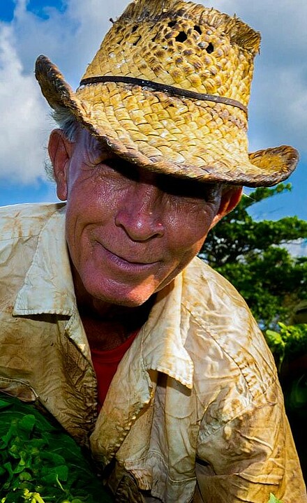 Tabakbauer auf Tabakplantage in Kuba