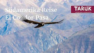 Adler von Gletscher Torres del Paine auf Südamerika Rundreise El Condor Pasa