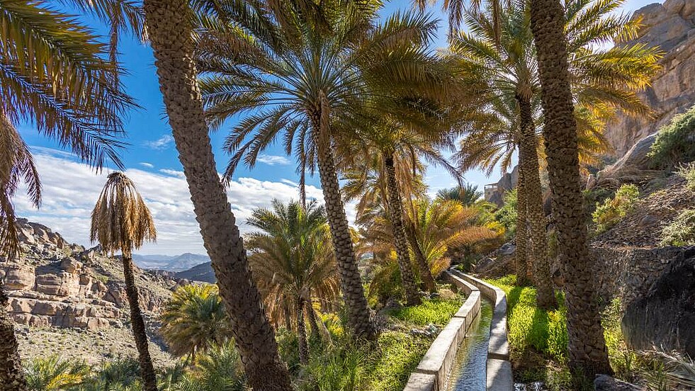Dattelpalmen mit Falaj-Bewässerung im Hajar-Gebirge im Oman