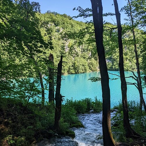 Türkisblauer See im Nationalpark Plitvicer Seen in Kroatien