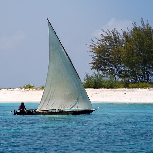 Dhow Sansibarisches Segelboot Strand Sansibar Tansaniareise
