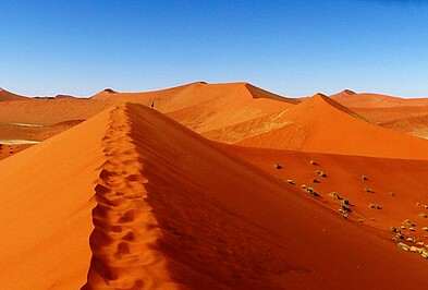 Rot-orangene Dünen der Namib-Wüste bei Sossusvlei in Namibia