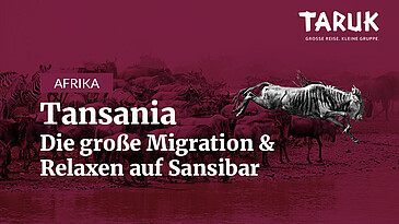 TARUK Kurzfilm Great Migration & Relaxen auf Sansibar