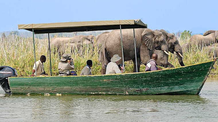 Bootssafari mit Elefanten auf einem Fluss in Malawi