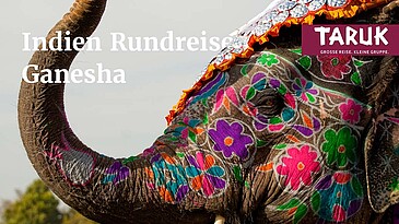 Traditionell Indisch bemalter Elephant auf der Indien Rundreise Ganesha