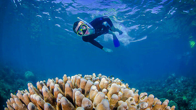 Taucher am Great Barrier Reef in Australien