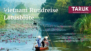 Traditionelles Boot mit Segeln in der Halongbucht in Vietnam