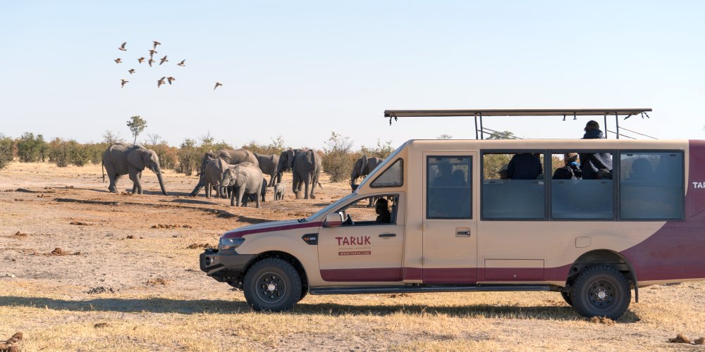 TARUK Safari-Tourer in Botswana mit Elefanten