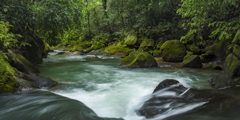 Bach im Rincón de la Vieja Nationalpark in Costa Rica