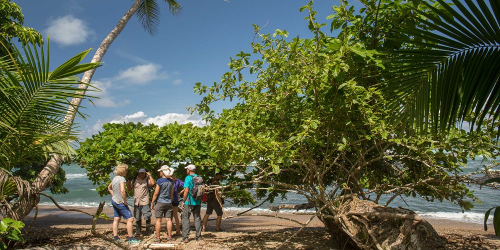 Strand im Corcovado Nationalpark in Costa Rica