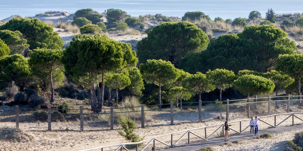 Wanderung durch den Coto de Doñana Nationalpark