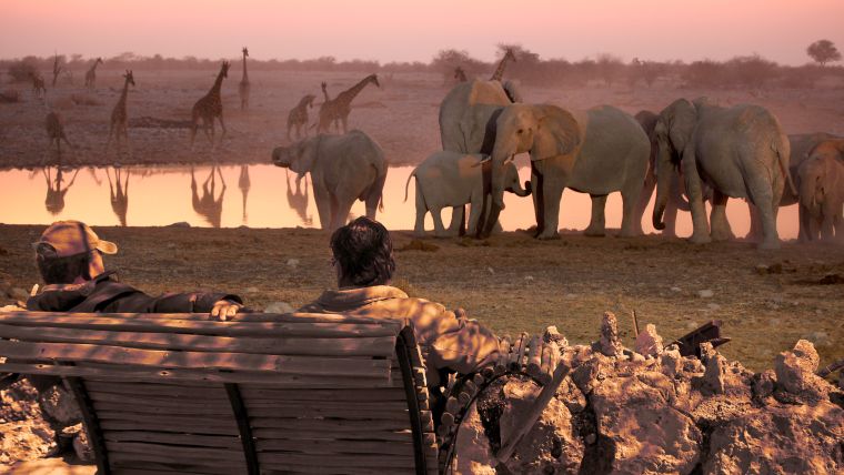 Zwei Menschen auf einer Bank am Wasserloch beim Sonnenuntergang im Etosha Nationalpark