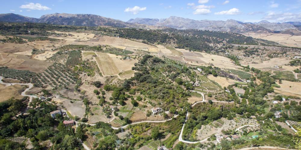 Landschaft bei Ronda mit der Sierra de las Nieves in Andalusien Spanien