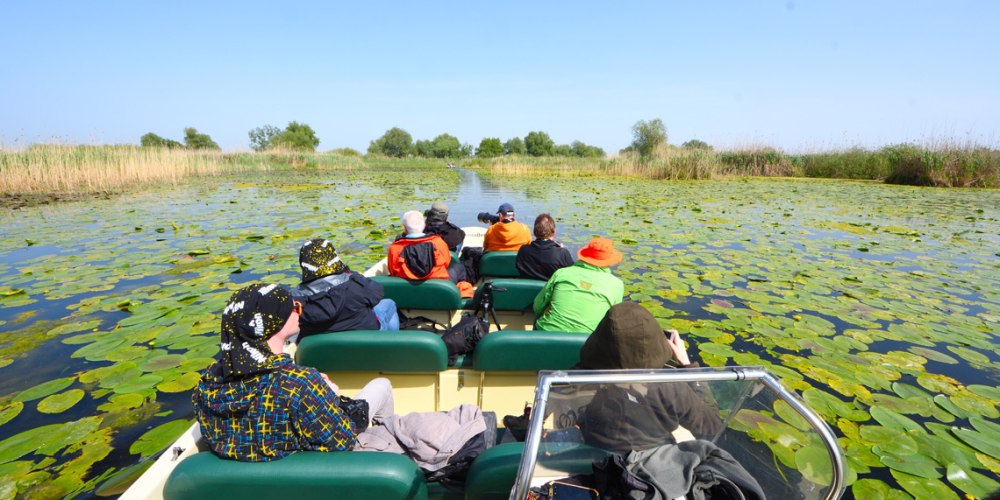 Bootssafari im Donaudelta in Rumänien