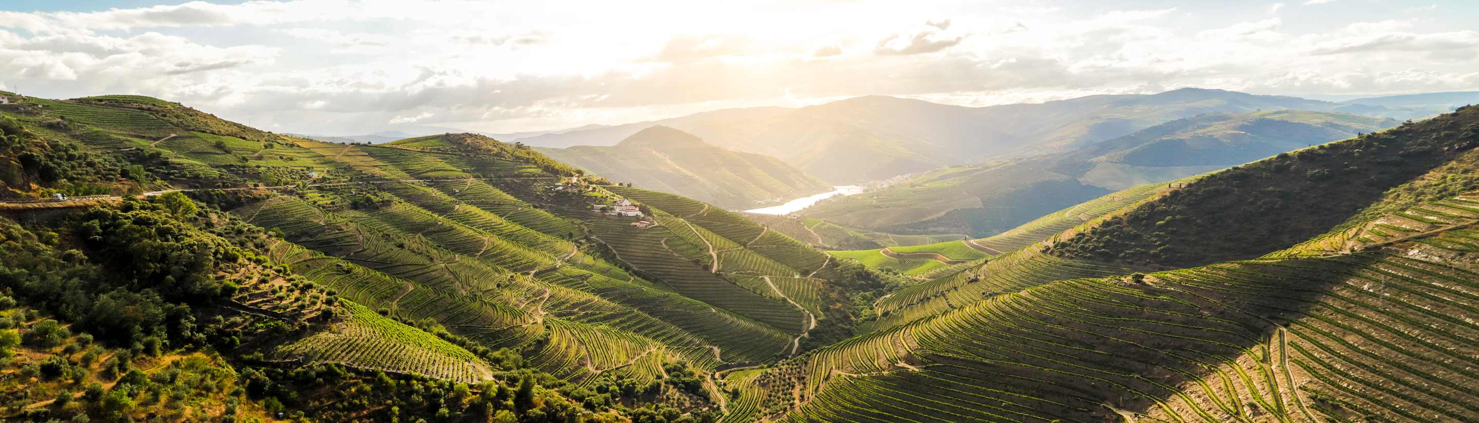 Douro-Tal: Portugals schönstes Flusstal