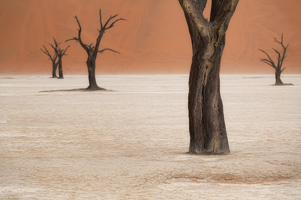 Dead Vlei Namibia ohne Sonne