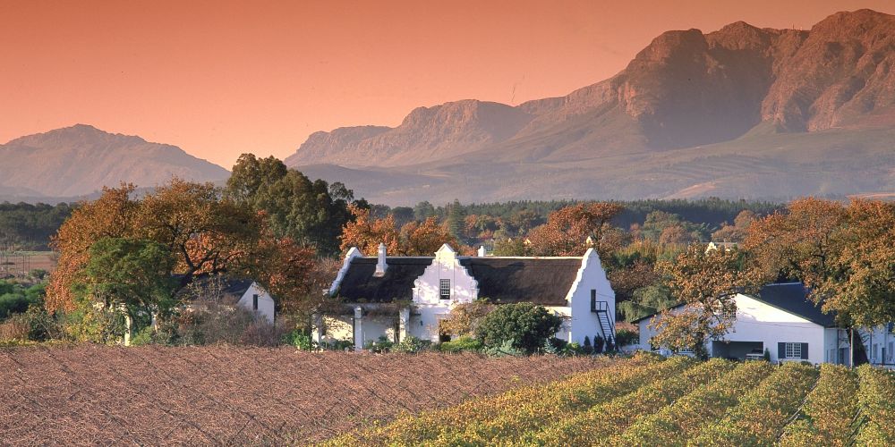 Weingut bei Stellenbosch im Kapland von Südafrika